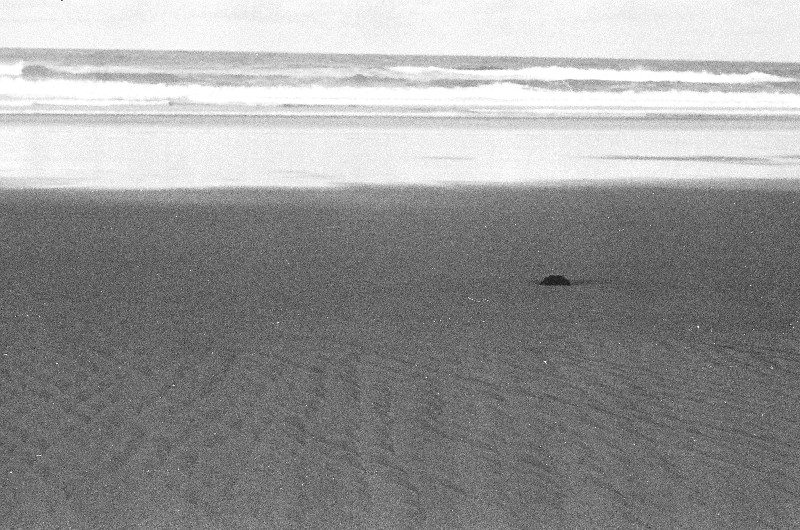Film photography