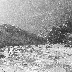 Film photography