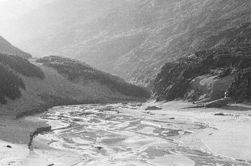 Film photography