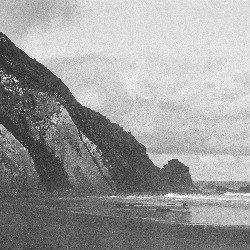 Film photography