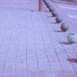 Film photography