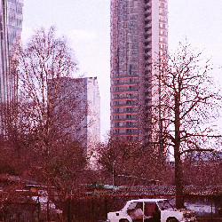 Film photography