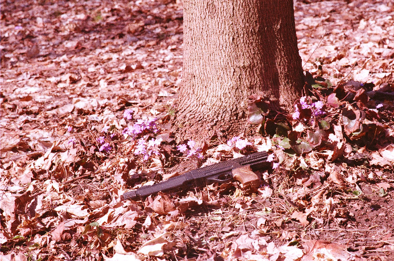 Film photography