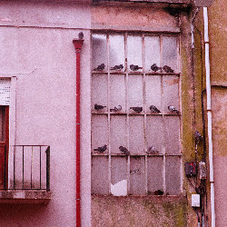 Film photography