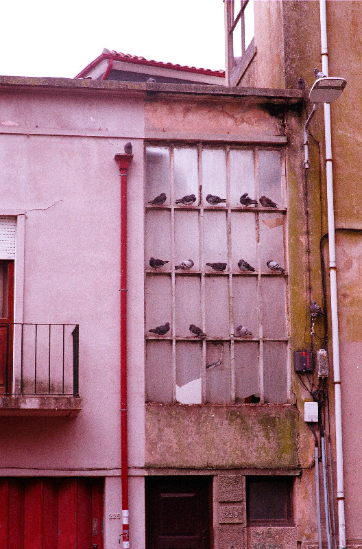 Film photography