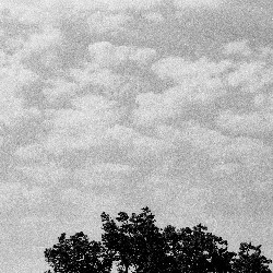 Film photography
