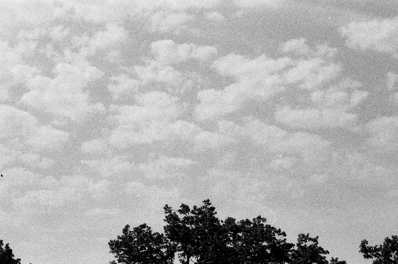Film photography