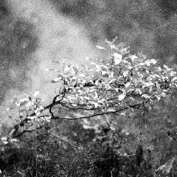 Film photography
