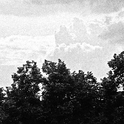 Film photography