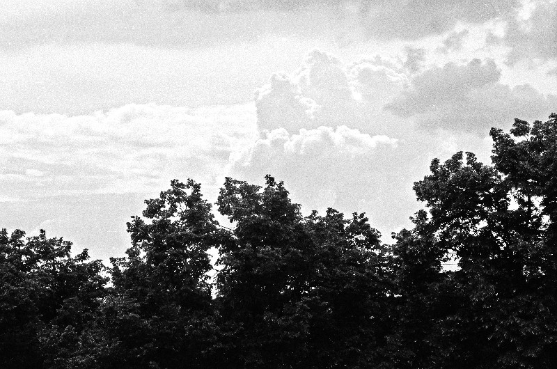 Film photography