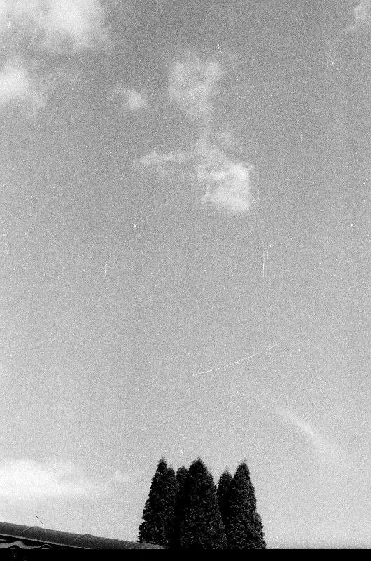 Film photography