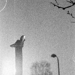 Film photography