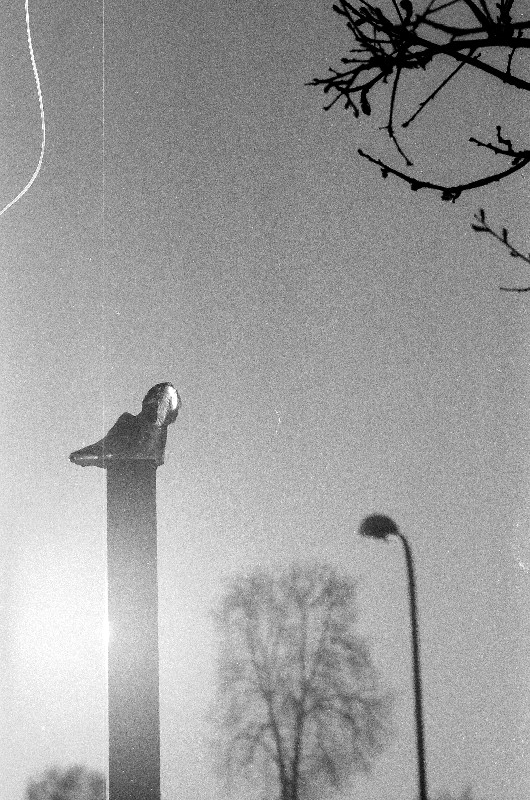 Film photography