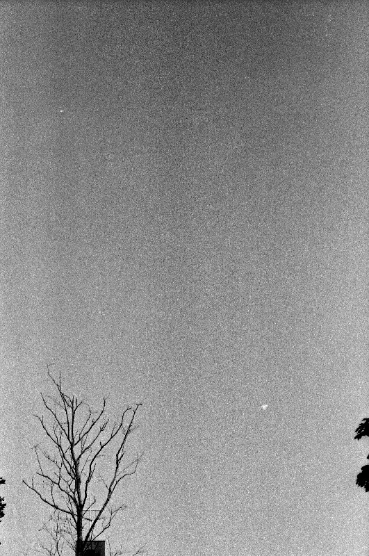 Film photography