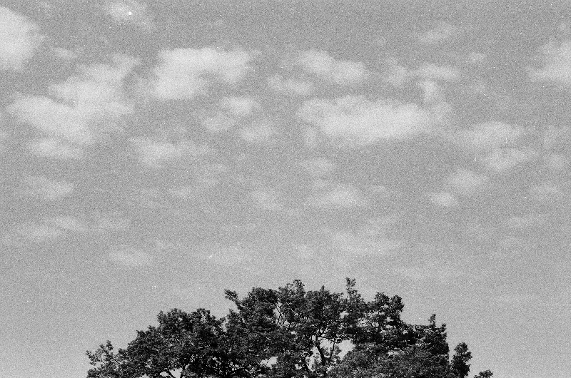 Film photography