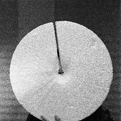 Film photography