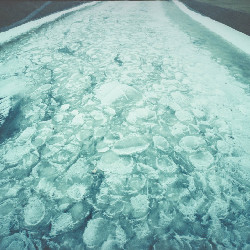 Film photography