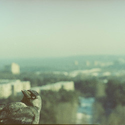 Film photography