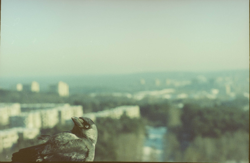 Film photography