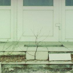Film photography