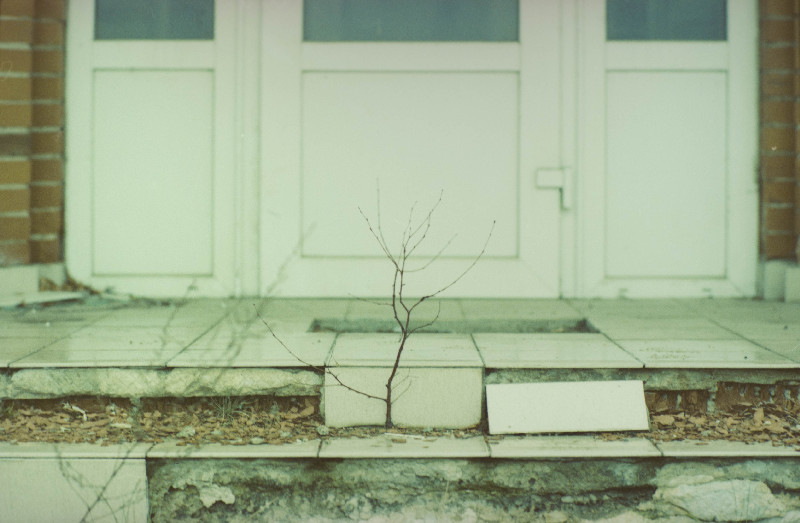 Film photography