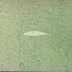 Film photography
