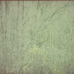 Film photography