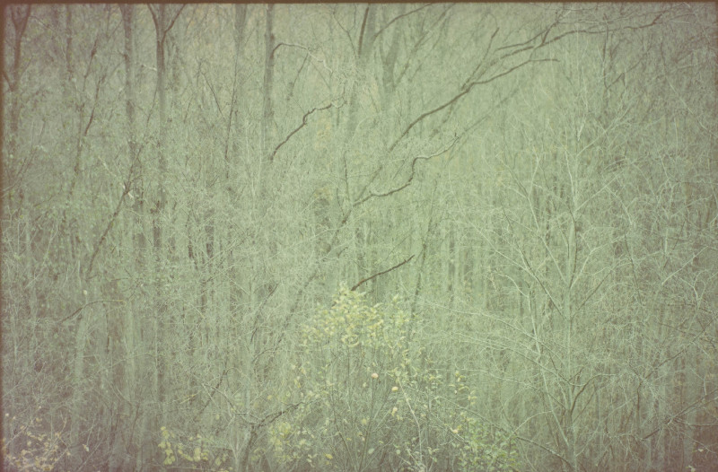 Film photography