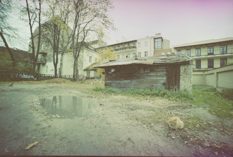 Film photography