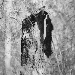 Film photography