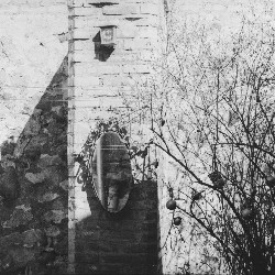 Film photography