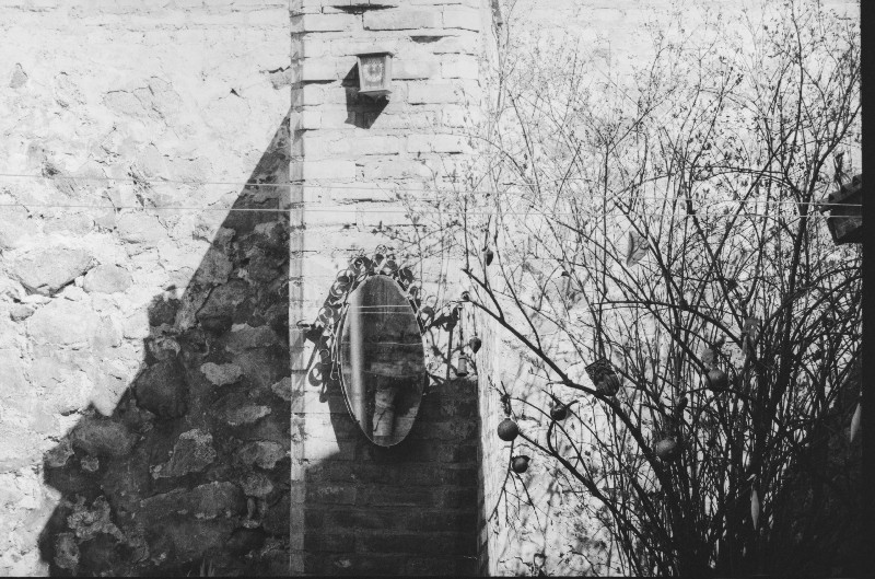 Film photography