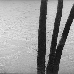Film photography