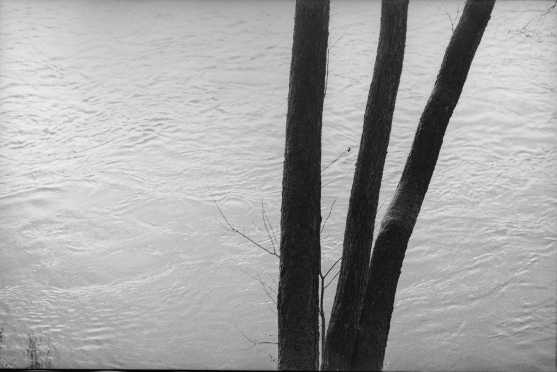 Film photography