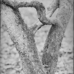 Film photography