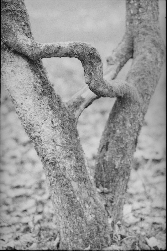 Film photography