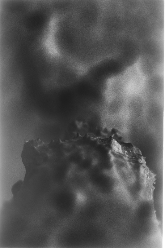 Film photography