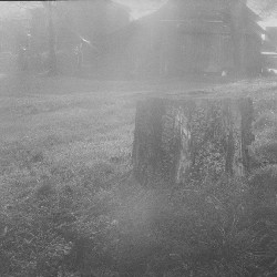 Film photography