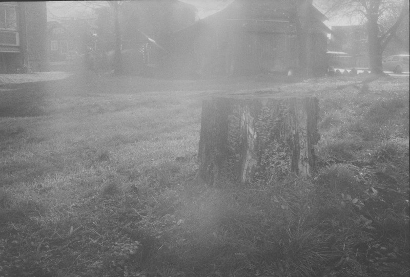Film photography