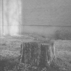 Film photography