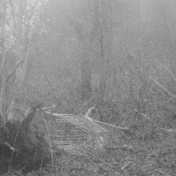 Film photography