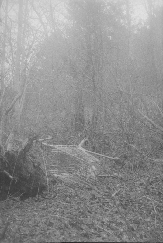 Film photography