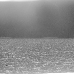 Film photography