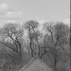 Film photography