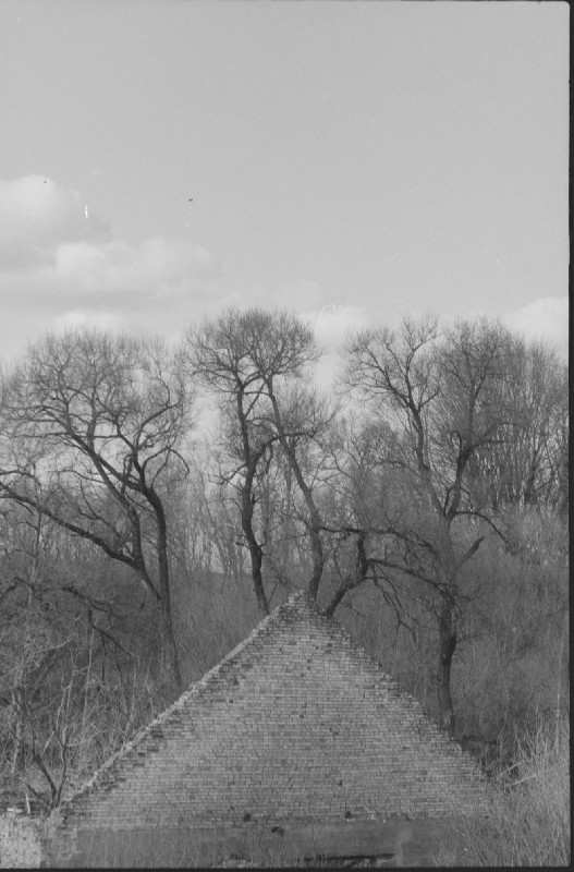 Film photography