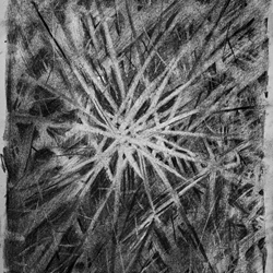 Graphic art