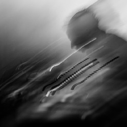 Band photography
