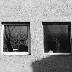 Cityscapes