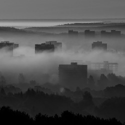 Cityscapes