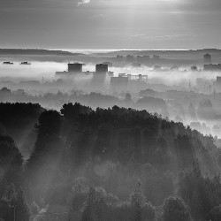 Cityscapes